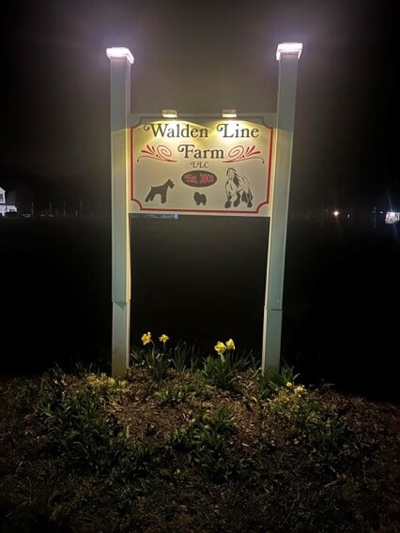 Post & Panel Signs Photo